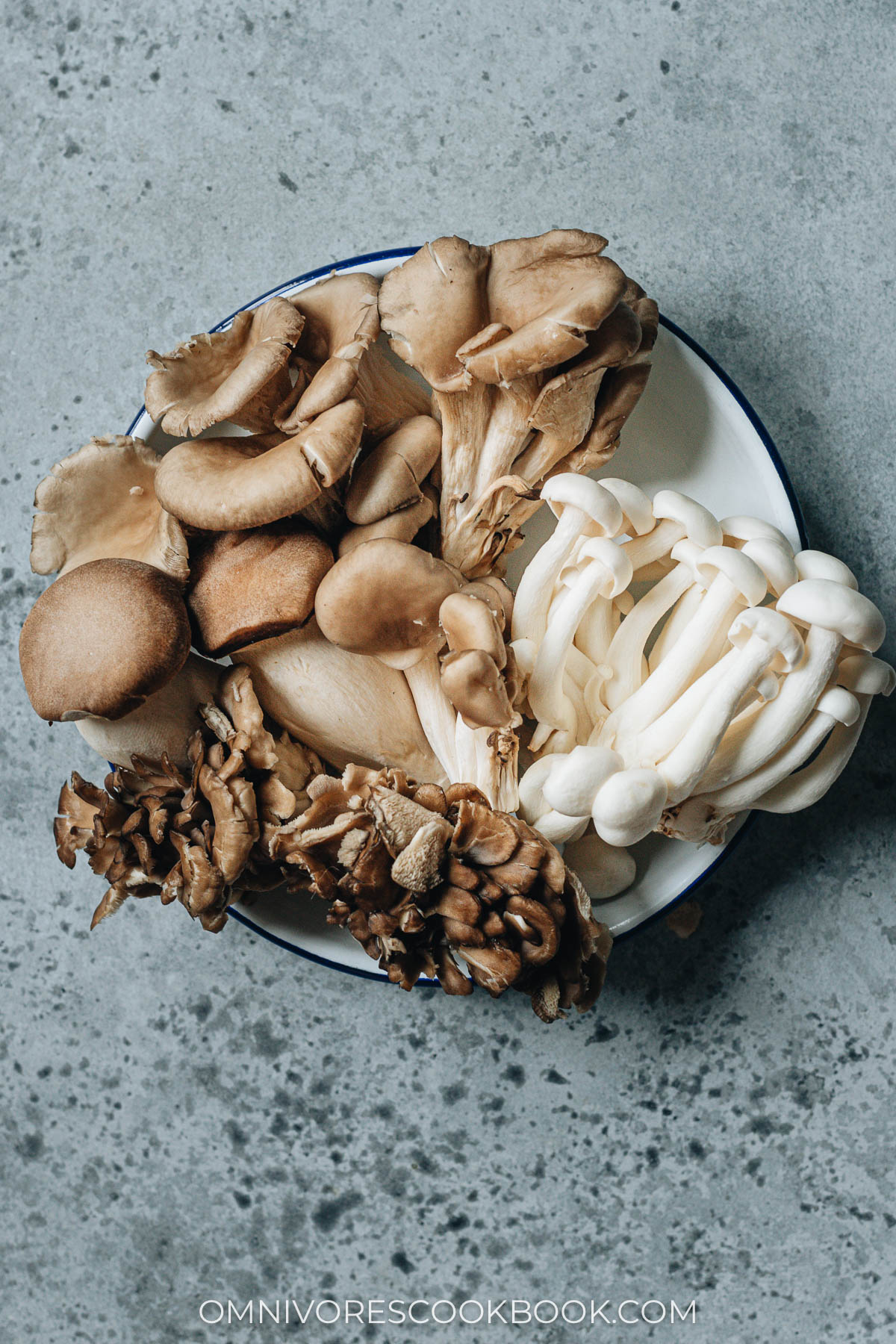 Assorted mushrooms in a plate