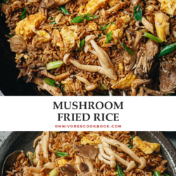 Mushroom rice is a super quick and satisfying side that can be served as a light main dish as well. Assorted mushrooms are seared and stir fried with crispy rice and brought together with a savory and aromatic sauce. Make this for your lunch, meal-prep, or a dinner course. {Gluten-Free Adaptable, Vegetarian}