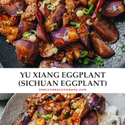 Xu Xiang eggplant features crispy eggplant covered in a sticky sweet, sour, savory and slightly spicy sauce. A signature Sichuan dish that turns eggplant haters into eggplant lovers. {Vegetarian Vegan Adaptable, Gluten-Free Adaptable}