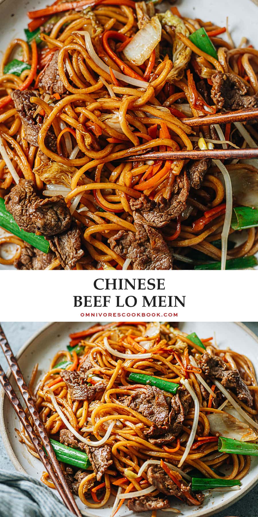 Beef Lo Mein - Omnivore's Cookbook