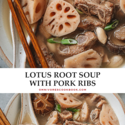 This lotus root soup features tender pork ribs, mushrooms and peanuts braised together to create a fragrant soup that is healing and nutritious. No matter whether you're recovering from a cold or simply need something comforting, this soup is perfect for you. {Gluten-Free}