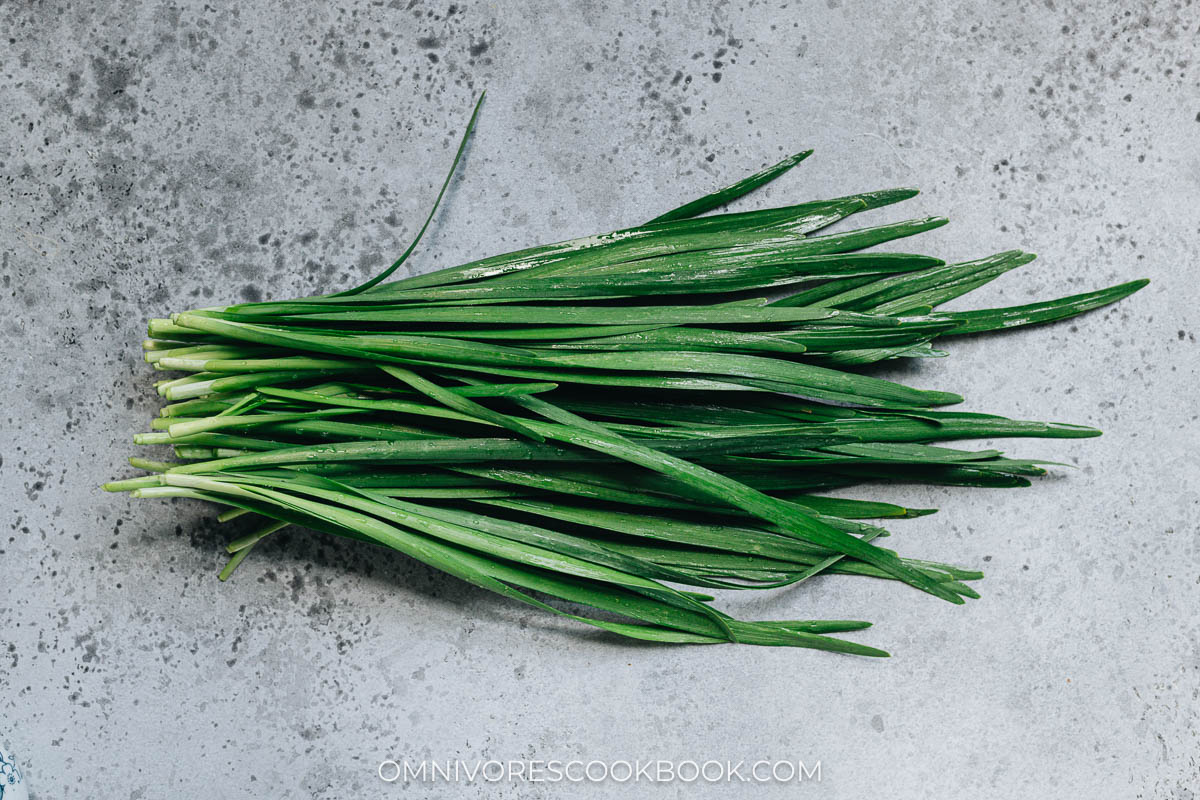 Chinese chive (韭菜)