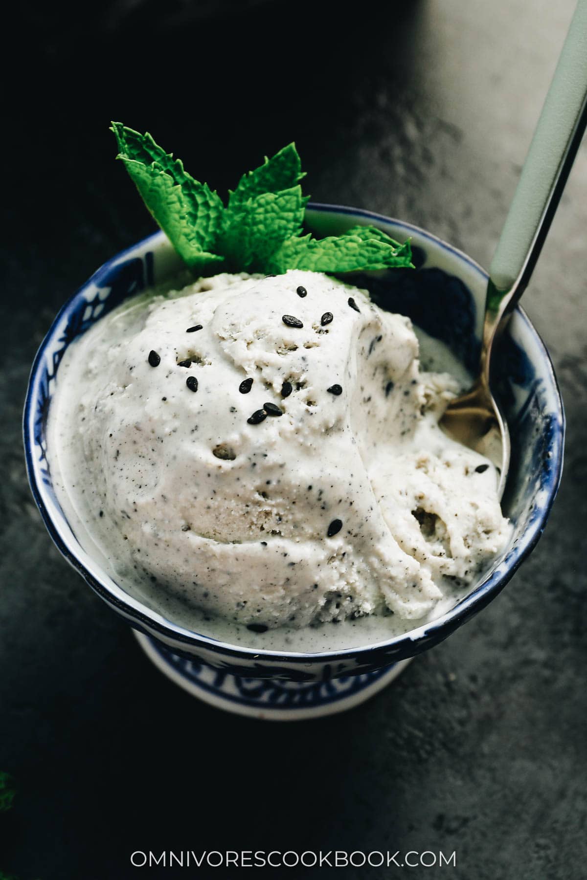 Black sesame ice cream close up