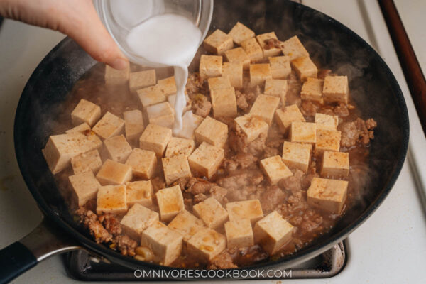 Tofu With Minced Pork - Omnivore's Cookbook