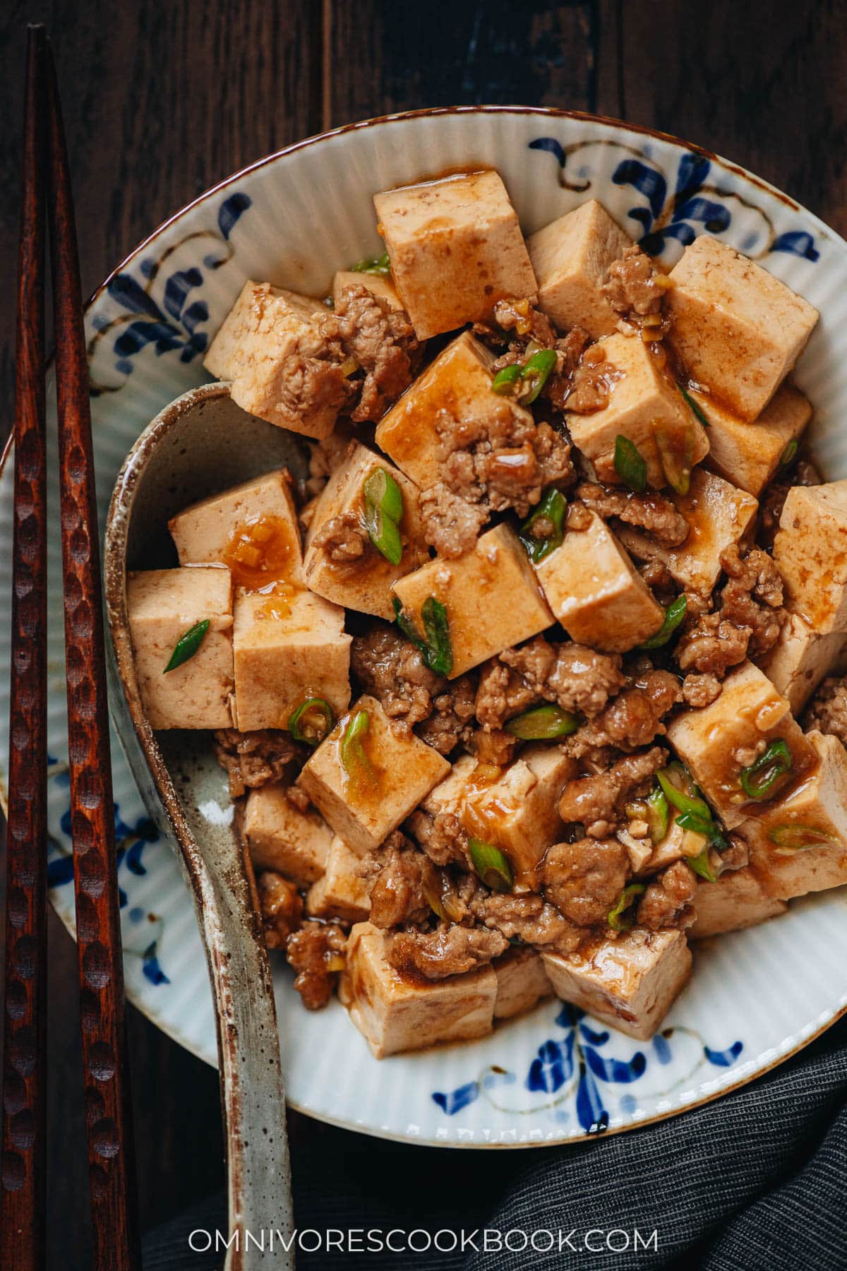 Tofu with minced pork close up