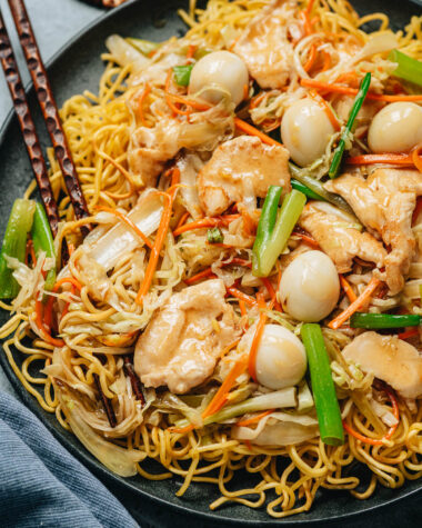 Chicken pan fried noodles close up