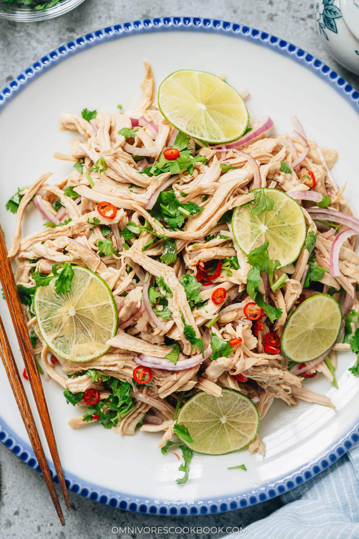 Yunnan lime chicken salad close up