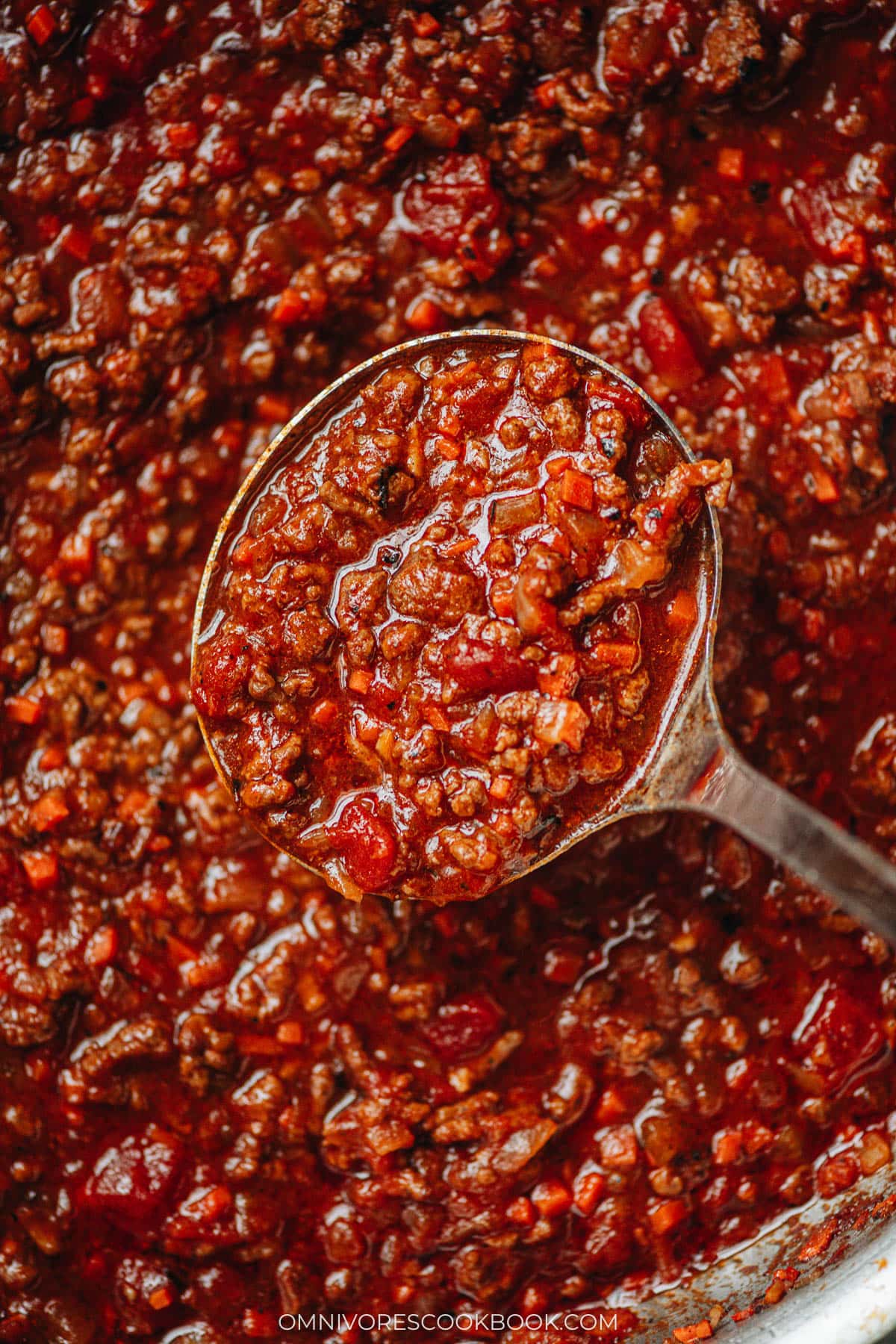bolognese sauce