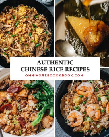 A collage of authentic Chinese rice dishes