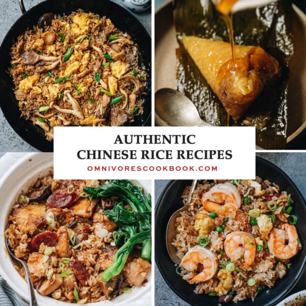19 Authentic Chinese Rice Recipes - Omnivore's Cookbook