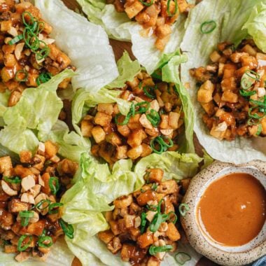 Tofu lettuce wrap close up