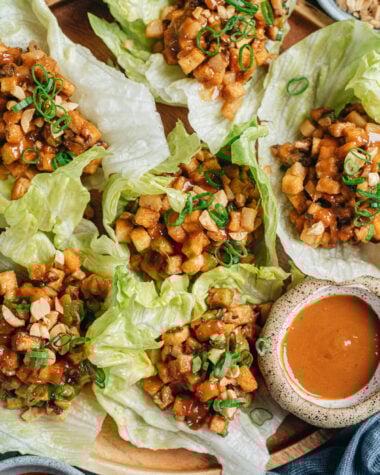 Tofu lettuce wrap close up