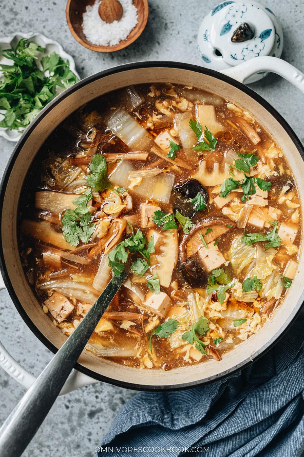 Vegetarian Hot and Sour Soup