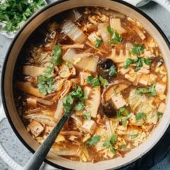 Vegetarian Hot and Sour Soup