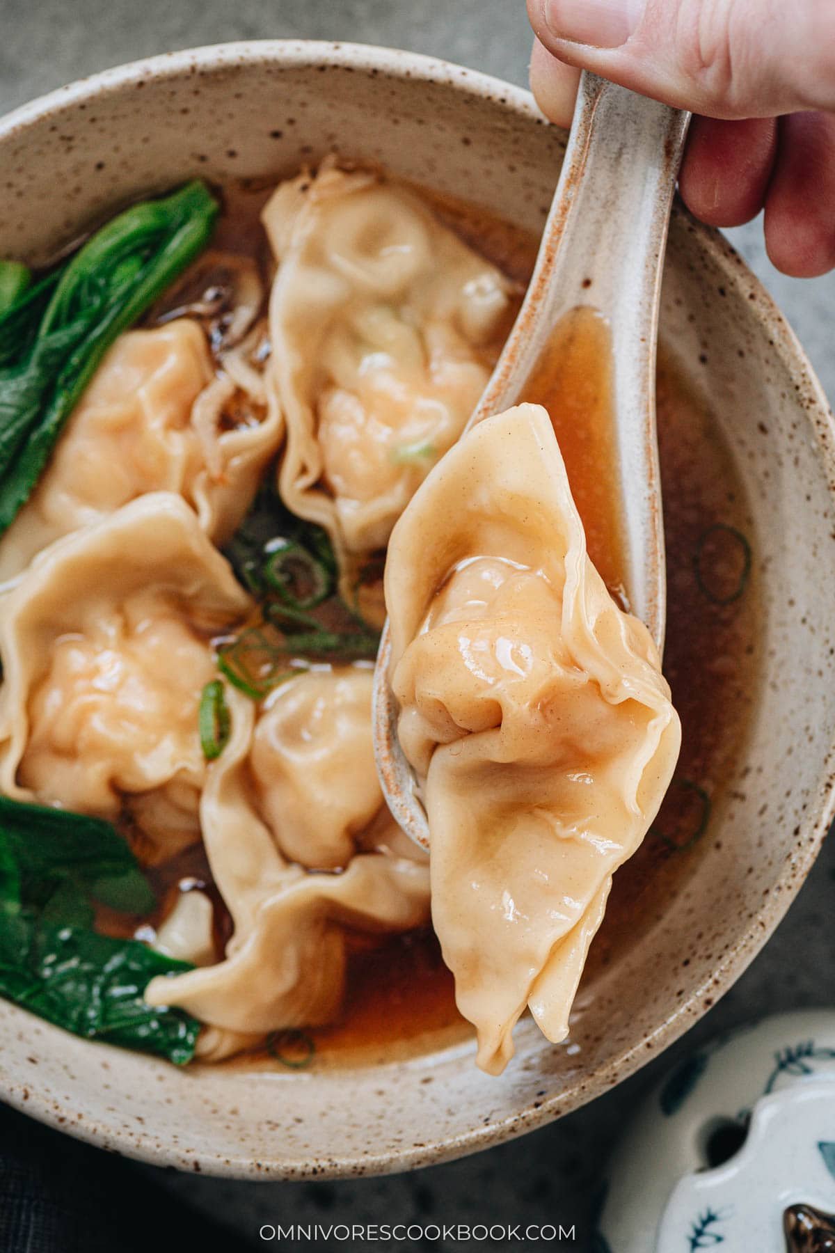 Spoon lifting shrimp wonton from a bowl