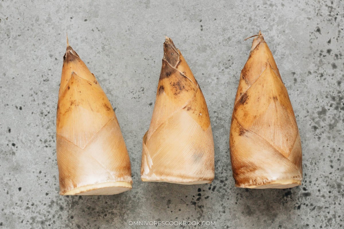 Fresh whole bamboo shoots