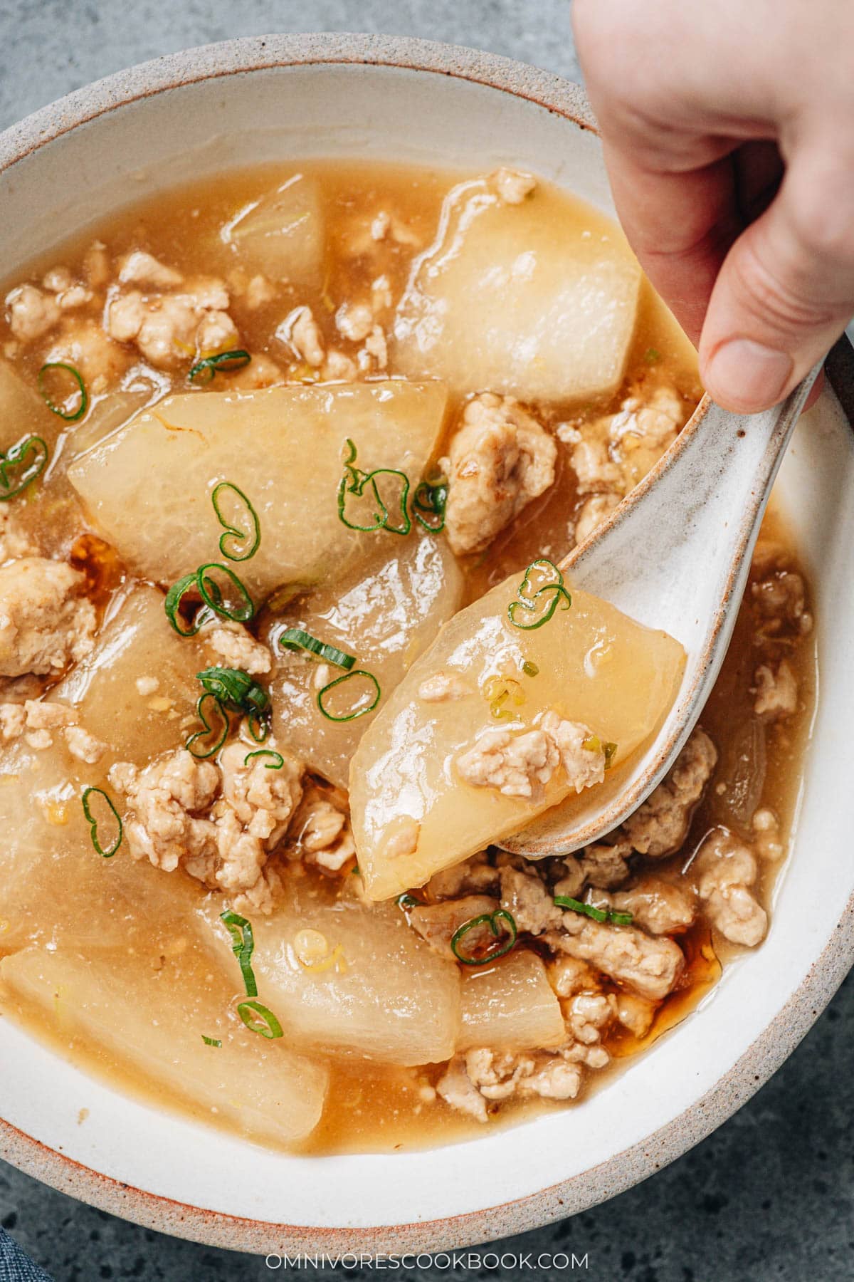 Close-up of soft winter melon scooped with ground chicken