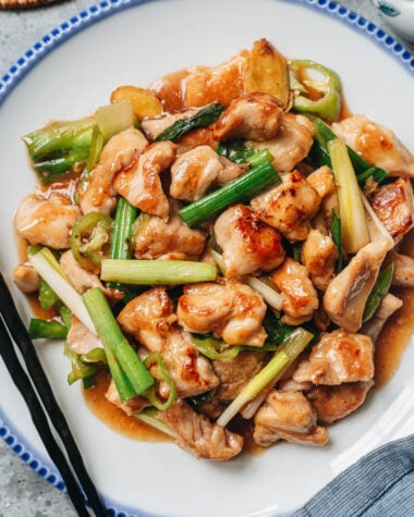 Ginger chicken close up