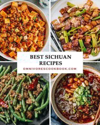 A collage of Sichuan dishes
