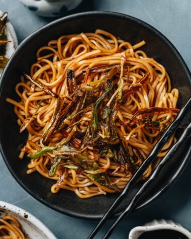 Scallion noodles close up
