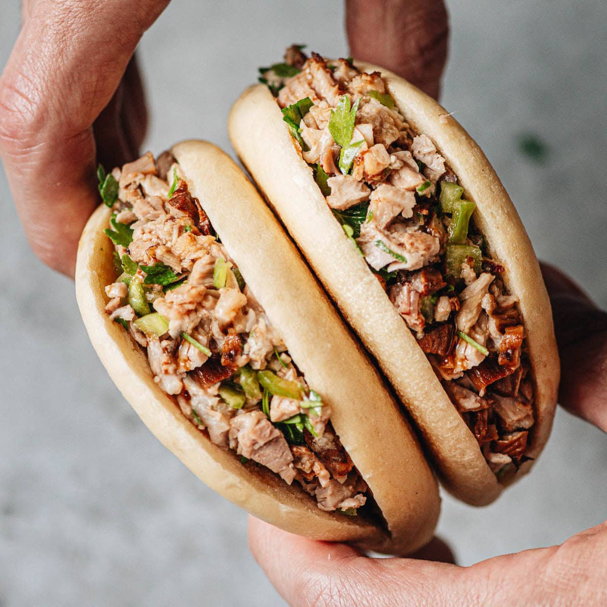 Chinese Pork Belly Bun (Rou Jia Mo, 肉夹馍)