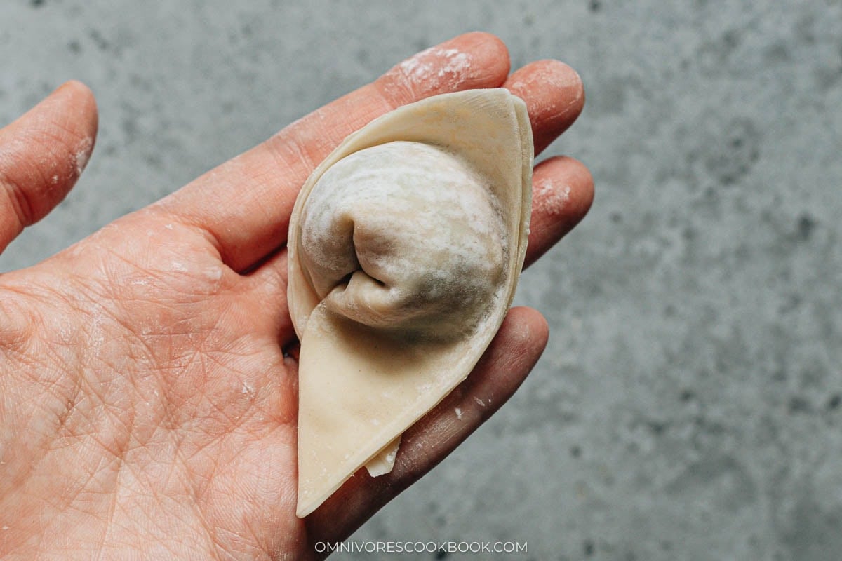 wrapped wontons ready to cook