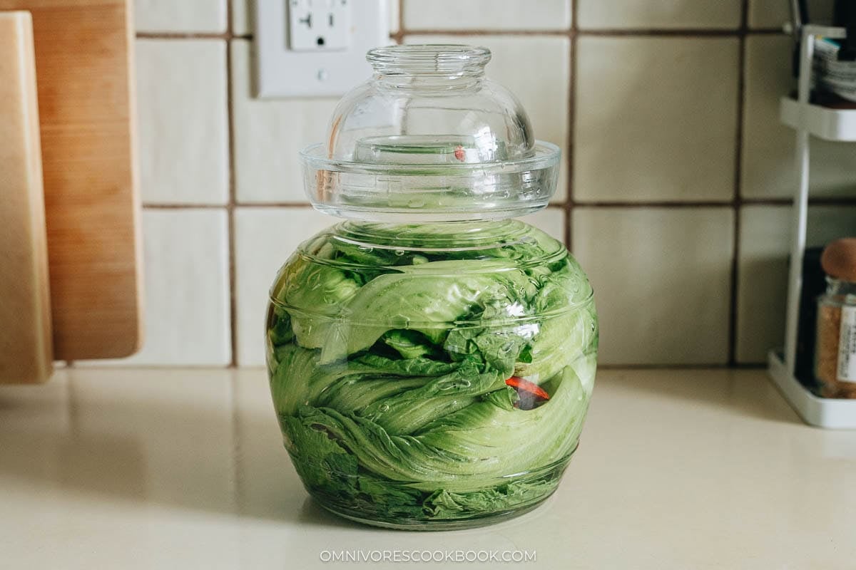 Mustard greens packed tightly into the jar with ginger, dried chilies, and Sichuan peppercorns